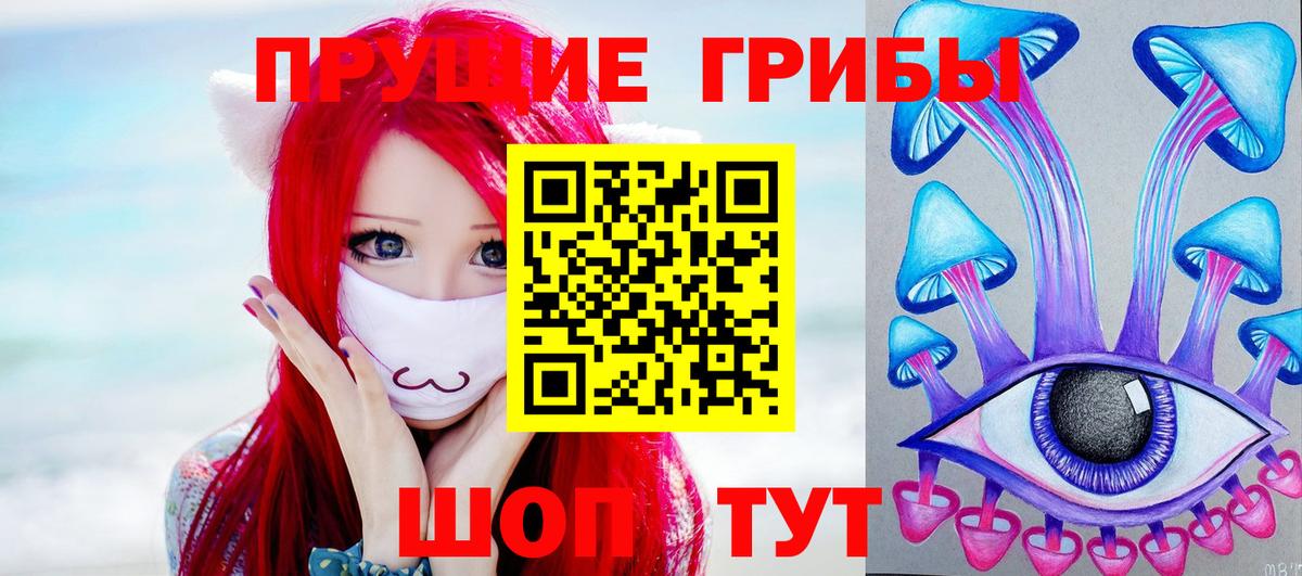 Псилоцибиновые грибы GOLDEN TEACHER Подольск