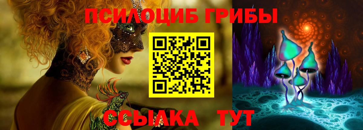 Псилоцибиновые грибы Psilocybine cubensis  Галлюциногенные грибы Cubensis  Подольск  Вход с VPN 